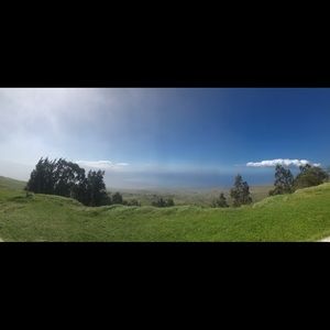 Meet your Posher, Joyka